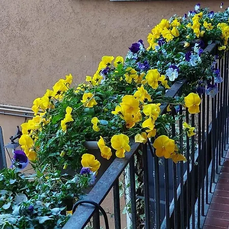 Apartamento Casa Pedrarias